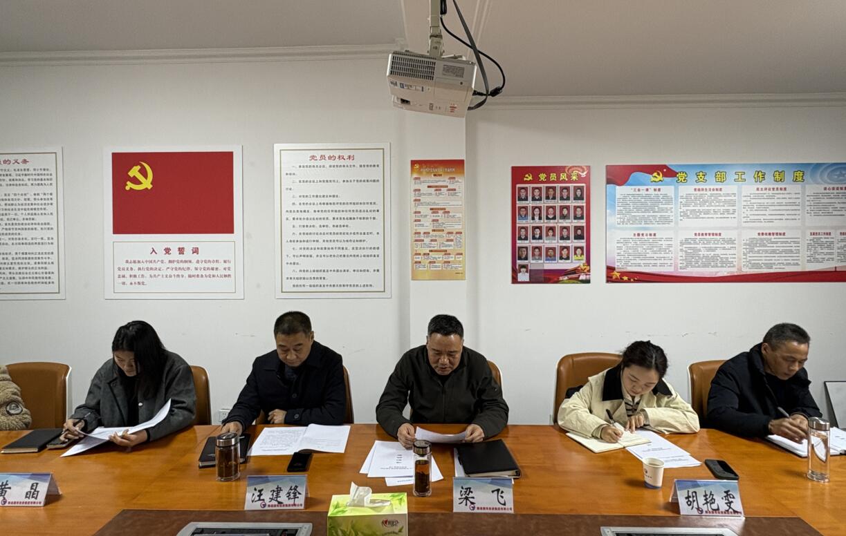 國(guó)投集團(tuán)黨委召開(kāi)2024年度黨支部書(shū)記 抓基層黨建工作述職評(píng)議會(huì)